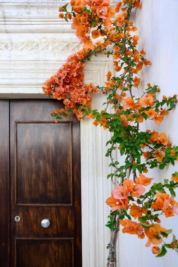 Il Giardino Bed & Breakfast Grottaglie Dış mekan fotoğraf